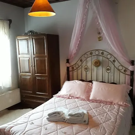 Guest house Mansion Theodora