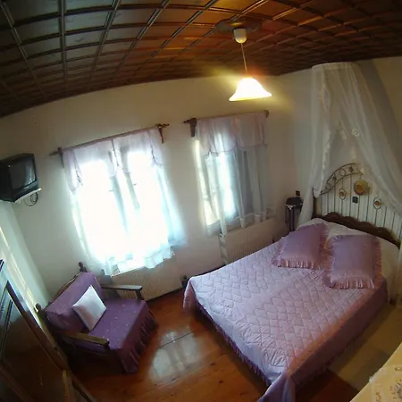 Mansion Theodora Guest house 3*