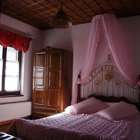 Mansion Theodora Guest house Makrinitsa