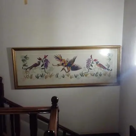 Guest house Mansion Theodora 3*