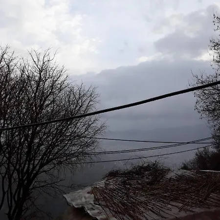 게스트하우스 Mansion Theodora 3*