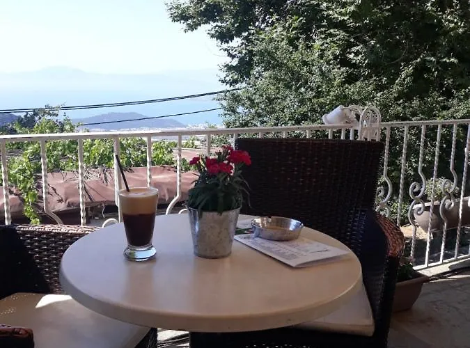 Guest house Mansion Theodora 3*