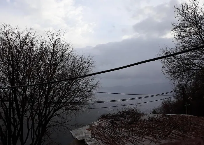 게스트하우스 Mansion Theodora 3*