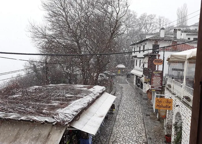 Guest house Mansion Theodora